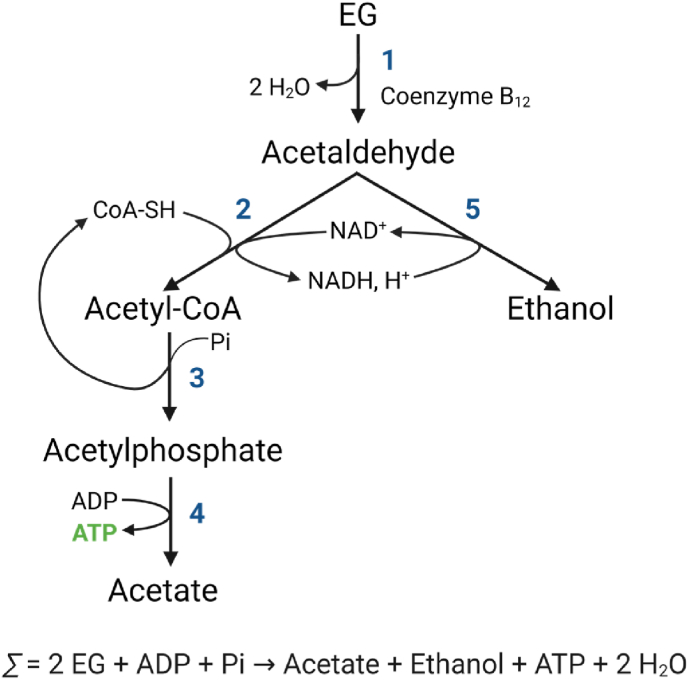 Fig. 4