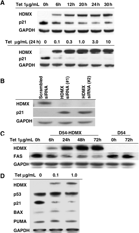 Fig. 3.