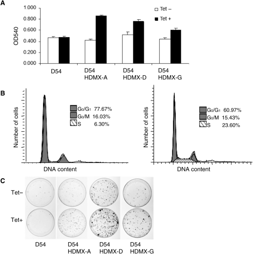 Fig. 2.