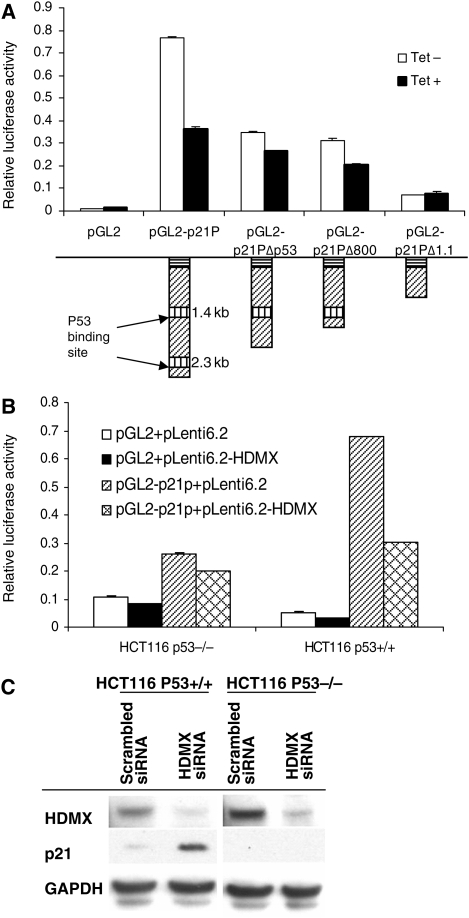 Fig. 4.