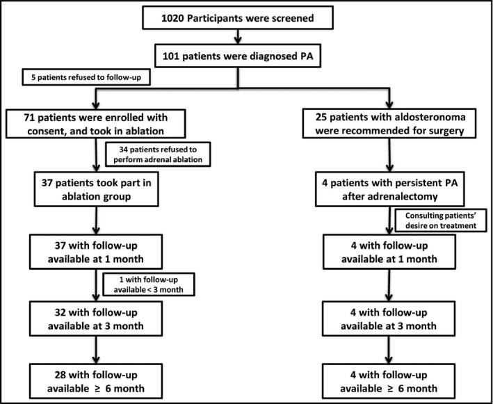 FIGURE 1