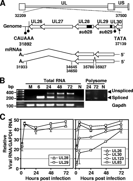 FIG. 1.