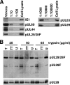 FIG. 7.
