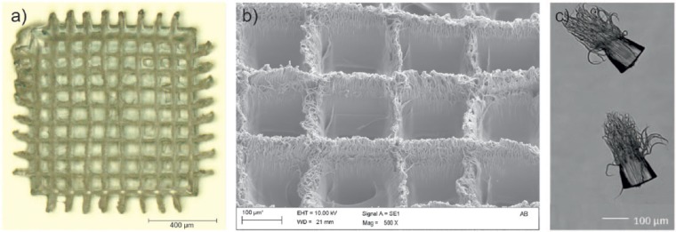 Figure 5.