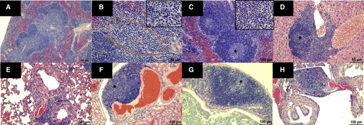 Figure 7