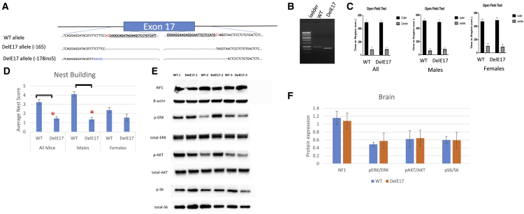 Figure 6