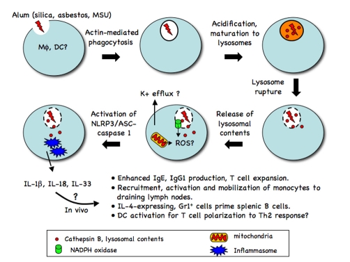 Figure 1.