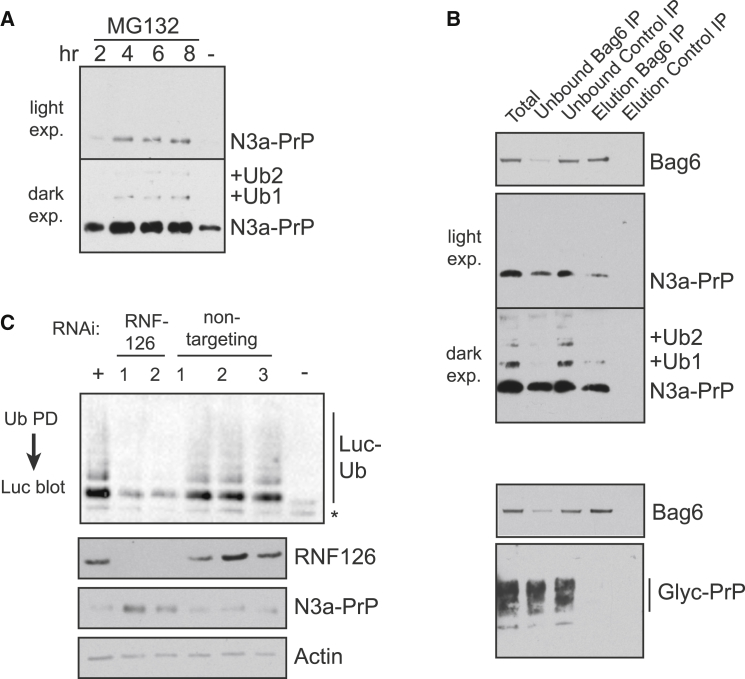 Figure 6