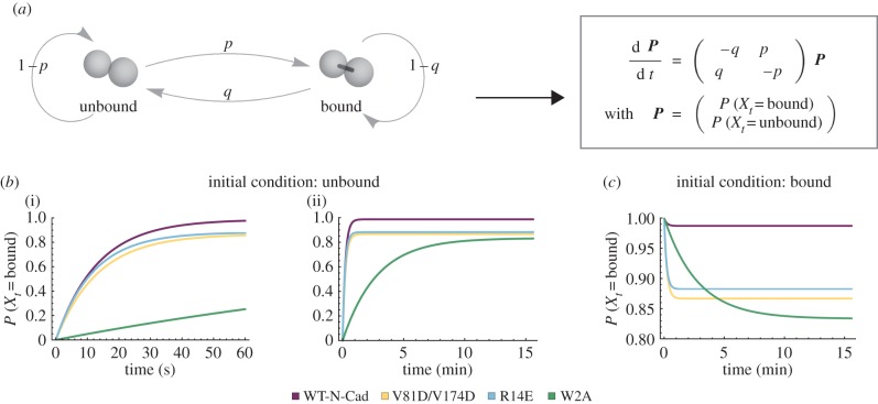 Figure 7.