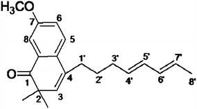 Figure 7