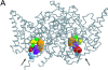 F<sc>igure</sc> 1.