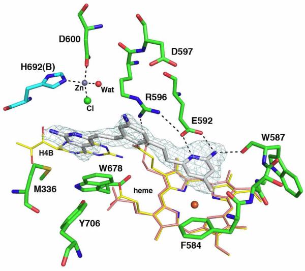 Figure 5