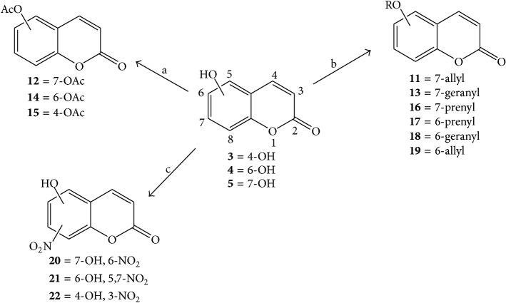 Scheme 1