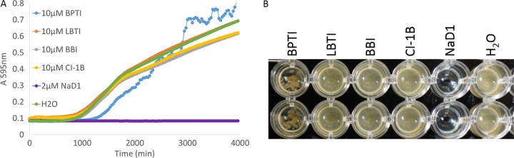 FIG 3 