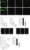 Figure 6