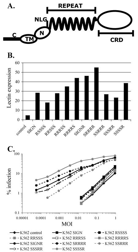 FIG. 7.