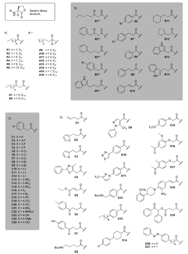 Scheme 2