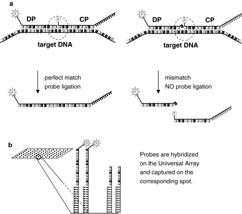 Fig. 3