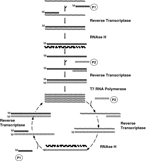 Fig. 2