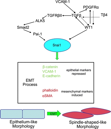 Fig. 10