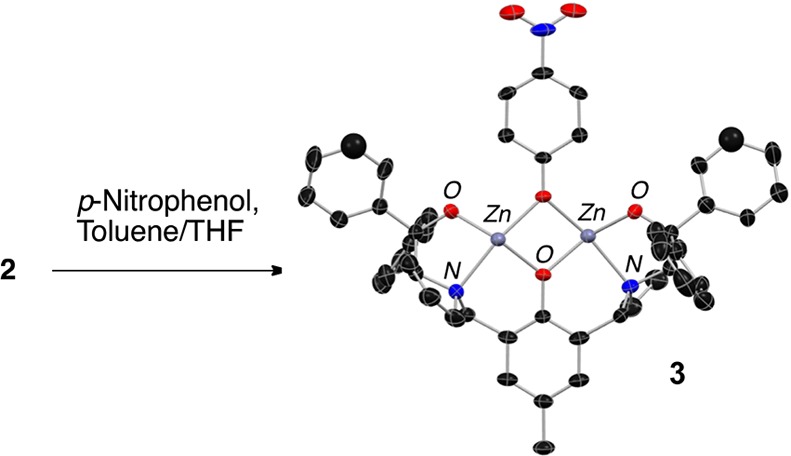 Scheme 2