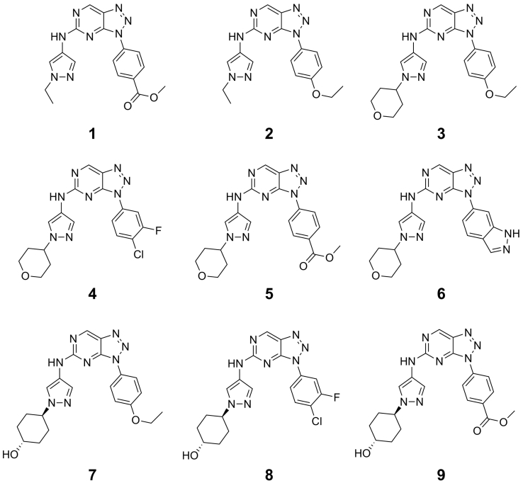 Fig. 2