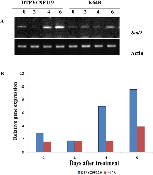 Fig. 1