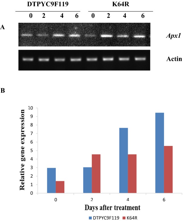 Fig. 3