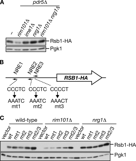 Figure 6.