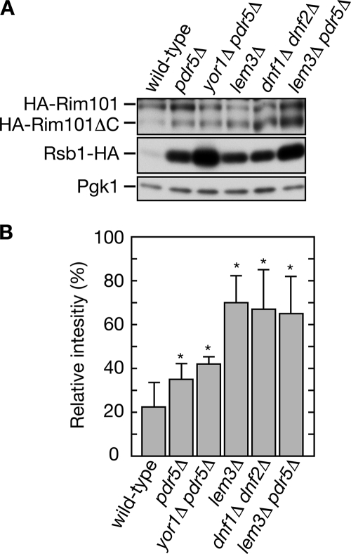 Figure 5.