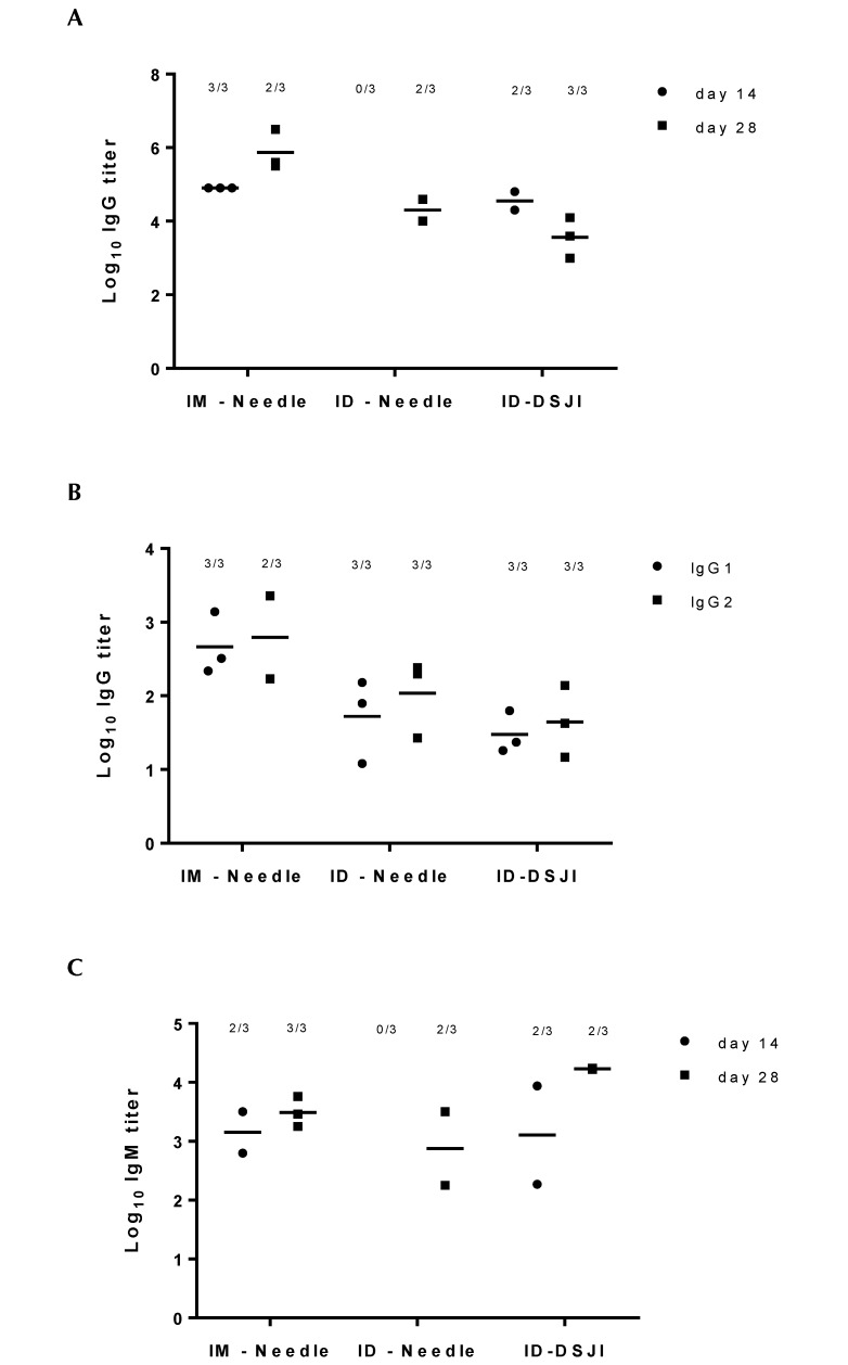 Figure 3.