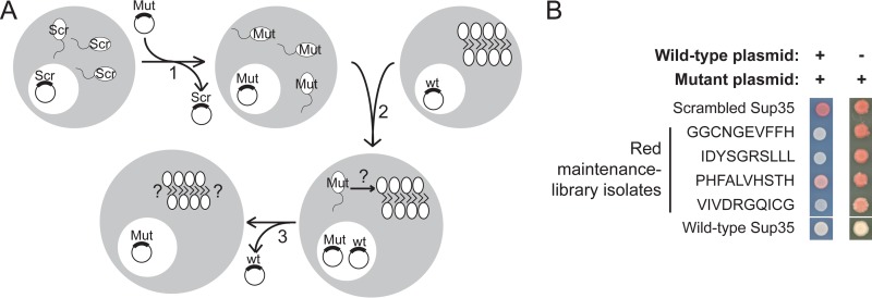 FIG 3