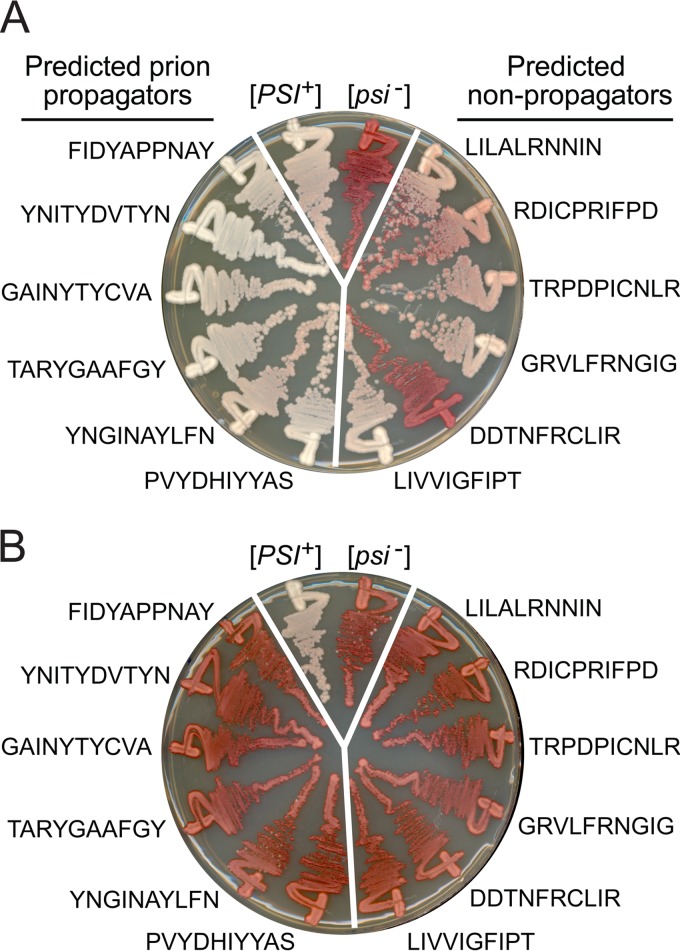 FIG 5