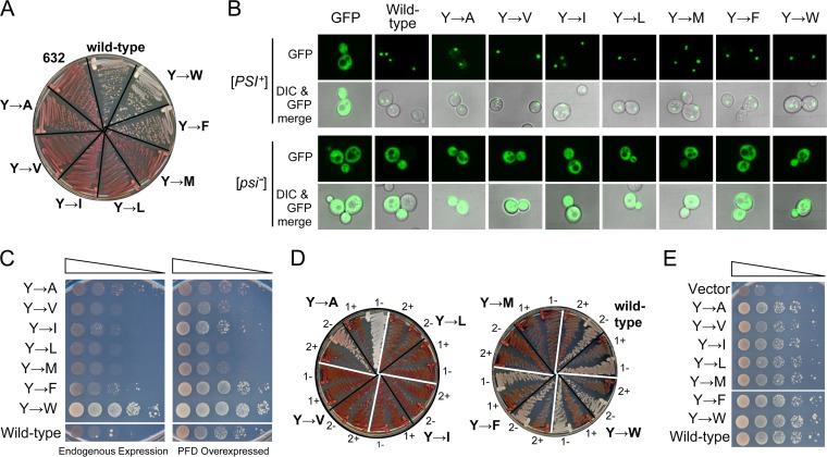 FIG 6