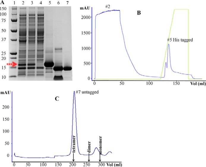 FIGURE 1.