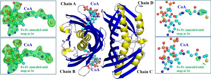 FIGURE 7.