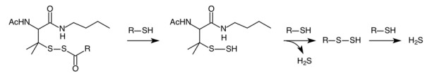 graphic file with name antioxidants-08-00411-i002.jpg