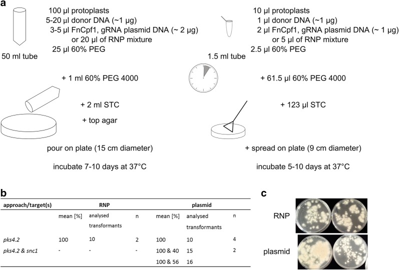 Fig. 4