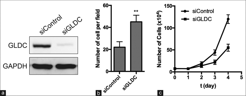 Figure 6: