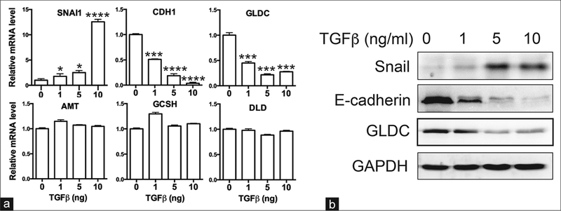 Figure 4: