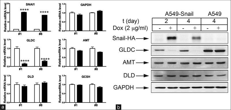 Figure 3: