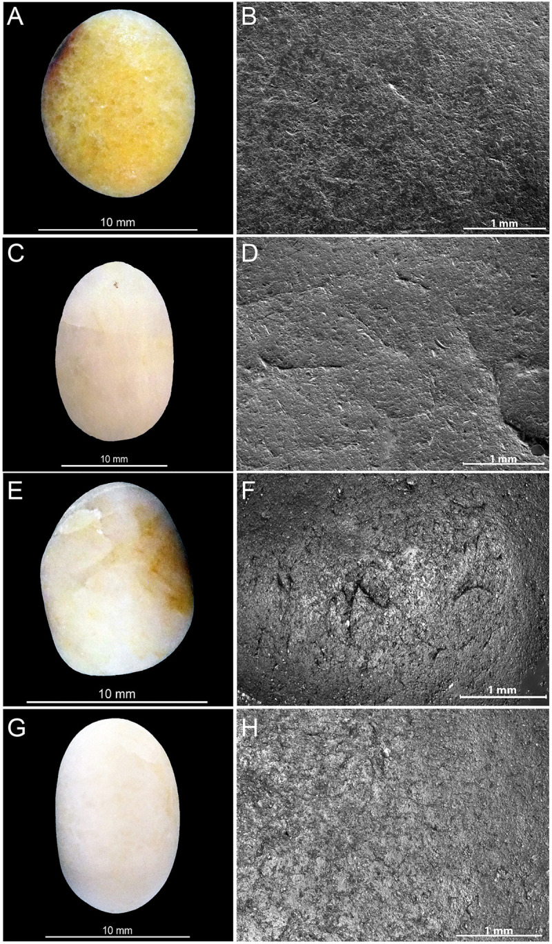 Fig 13