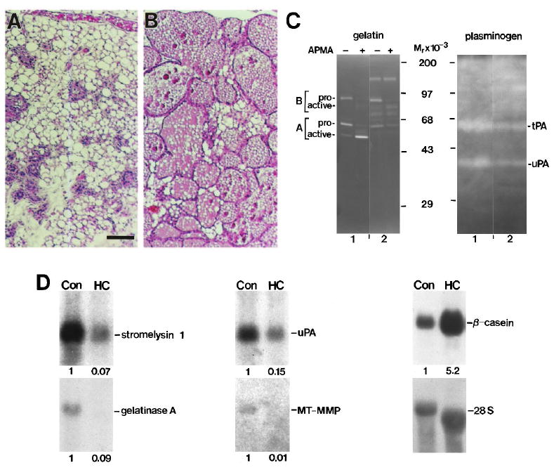 Fig. 9