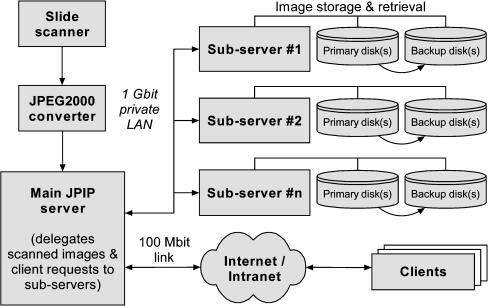 Fig 1