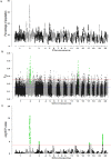 Fig 6