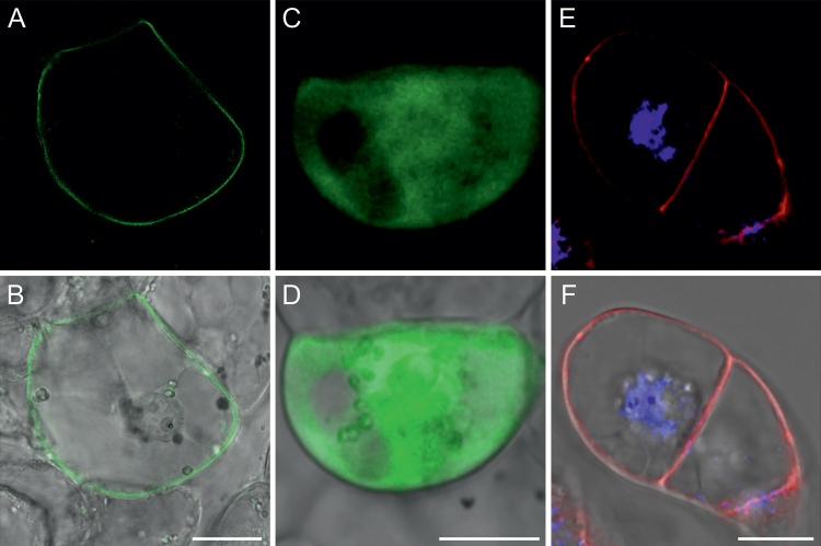 Fig. 4.