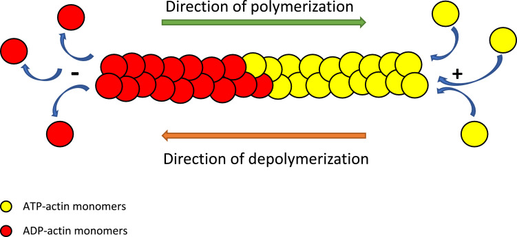 Fig 2: