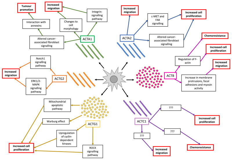 Fig 3: