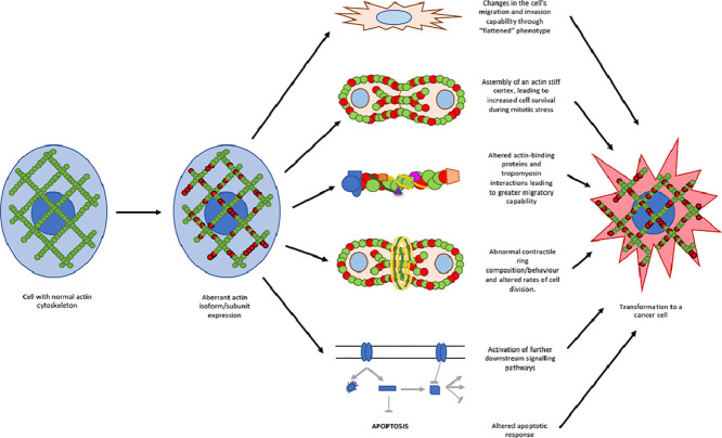 Image, graphical abstract