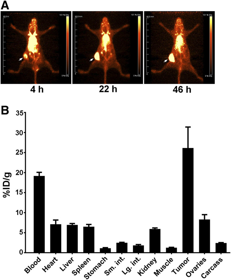 FIGURE 1.